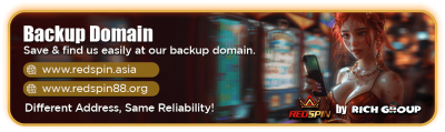 redspin-backup-domain